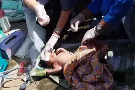 大马少女未婚先孕在家生娃，将其装塑料袋扔出4楼，宝宝奇迹幸存图片