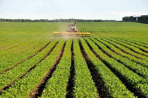 自己就能配制的氨基酸叶面肥，产量翻倍