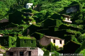 进城务工真的是农民未来的出路吗图片