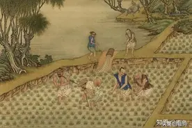 彼岸花开：孝谦与道镜，要让所有人知道，朕的江山，被你承包了图片