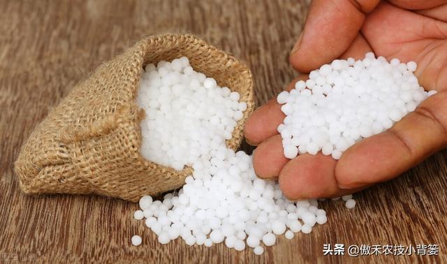 鍚屾牱鏄爱鑲ワ紝灏跨礌銆佺⒊閾点€佹隘鍖栭摰銆佺閰搁摰绛夊浣曟纭寫閫変笌浣跨敤锛? onerror=