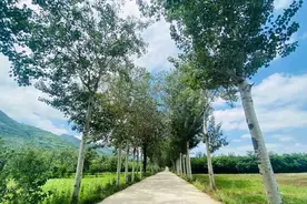 秦岭北麓这座古镇，从西安驾车1小时，住宿才30元，古朴适合避暑图片