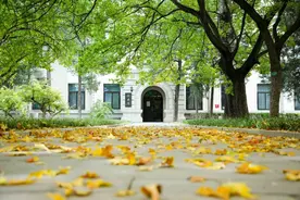 我真的爱你！句句不轻易！图片