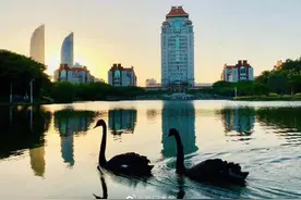 夏令营初审被5所学校拒之门外，九推成功上岸厦大图片