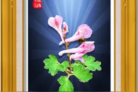 金行博览：紫堇花开似鸟落，春染客至如润色-紫堇图片