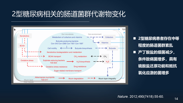 庞艳莉：22分钟详解肠道菌群与代谢疾病