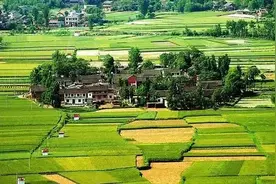 2021年乡村振兴贷款5万元，无抵押无担保，看看哪些人符合条件？​图片