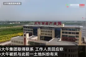 大午集团回应孙大午被采取刑事强制措施：与土地纠纷有关 企业仍正常运转图片