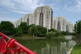 苏州一奇葩的小区，由英国人设计，房价两万却被称为“墓碑楼”图片