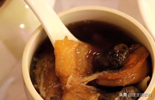 花胶干贝鸽子汤 花胶煲鸽子