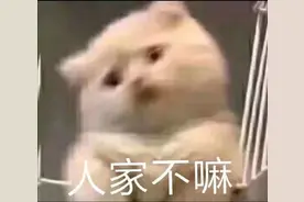 「表情包」 又贱又骚气表情包合集图片