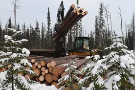 俄罗斯会失去西伯利亚么？图片