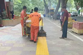 近日，丰泽街头出现的这类黄色实线，你了解吗？图片