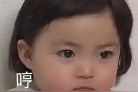 表情包：我错了，下次还敢图片