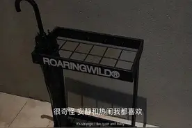 可惜我相貌平平，也惊扰不了你的岁月图片