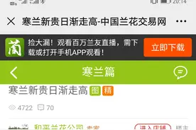 702：困扰人生发展的不是一时贫穷而是信用破产图片