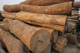 揭开红檀、黑檀、绿檀的真实面目图片