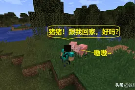 我的世界：与猪玩游戏，虽然猪输了，但这也太像是现实世界的猪了图片