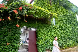 聚焦豫南“将军村”，这里是鱼米之乡，走出一位抗美援朝坦克司令图片