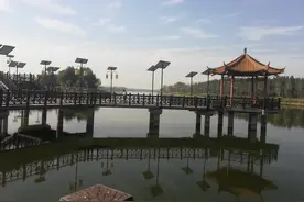 申氏石磨香油图片