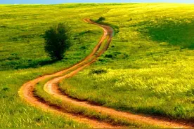 秋天来了，秋季过敏性鼻炎患者怎么办？图片