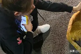 如何换回天蝎座爱情，换回天蝎座恋人攻略。图片