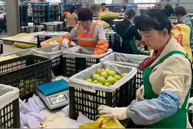 新疆农产品电商出疆，首选这里“中转”图片