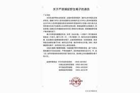 陕宁两省上演抓蝎子续集！鼓励举报非法捕捉野生蝎子行为图片