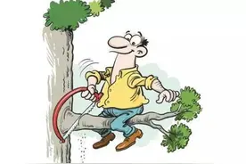 福建省林木采伐技术规程（试行）图片