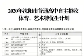 沈阳市2020年普通高中自主招收体育、艺术特优生计划发布图片