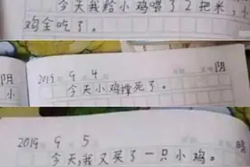小学生作文3天养死1只鸡，看到第4天，老师评：给鸡一条生路吧图片