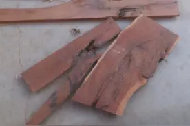 经常有商贩来农村高价收雷击枣木，雷击枣木有啥用？如何辨真假？图片