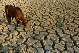 世界气象组织：2050年水资源将开始短缺，50亿人面临缺水图片