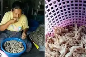 无骨鸡爪是如何脱骨的，真是工人用嘴啃的吗？没那么简单！视频封面