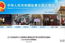 关于自泰国赴华人员健康码/健康状况声明书受理要求的通知图片