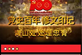 「党史百年·修文印记」青山处处埋忠骨图片