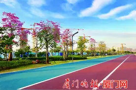“彩虹跑道”完工！环东半程马拉松赛将在此举办图片
