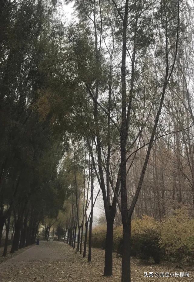 大庆师范学院