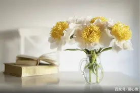 小学哪个年级最关键图片