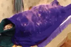 搞笑GIF：姑娘你桌子上的药是随时准备救命的吗图片