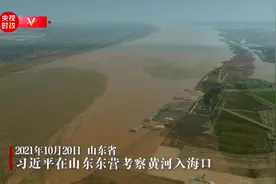 独家视频丨习近平在山东东营考察黄河入海口图片