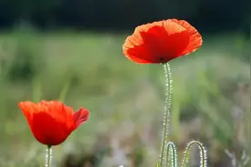 篇一：我的后妈，是这个世界上最善良的“后妈”图片