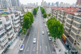 今年合肥杨絮，为何变少了？图片