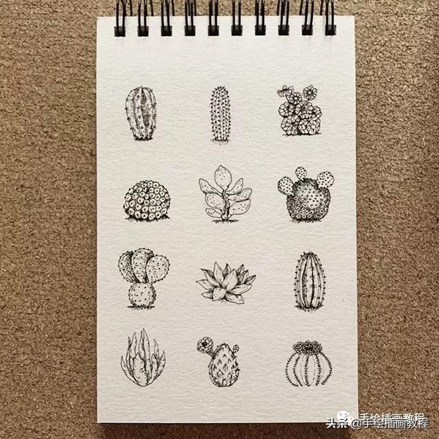 「初学者必看」插画师一步一步教你画线稿