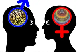 男、女大脑到底存在多大的差异，真相是？图片