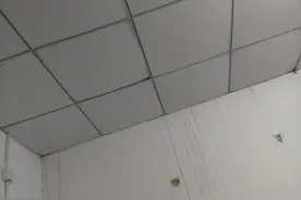 外面下着大雨，屋里下小雨图片