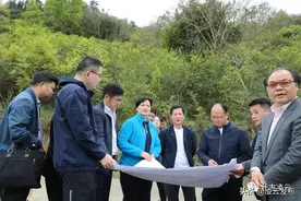 广西天昌投资有限公司到凌云县开展有机茶叶加工基地投资项目考察图片