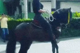 开心动图 大姐你是李逵的妹妹么，这络腮胡子是认真的么？图片