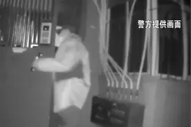 宠物狗养在楼顶 邻居不堪其扰图片