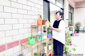 收集废弃瓶子做花盆 积攒易腐垃圾制花肥 百余盆“环保”花草扮靓农家院图片